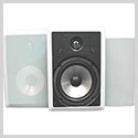 Premium Quality 100 Watt In-Wall Speaker